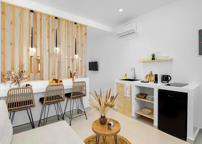 Plori Paros Apartment